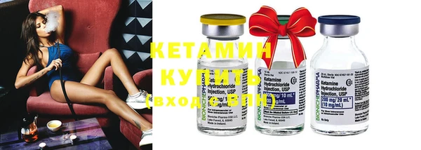 крисы Гатчина