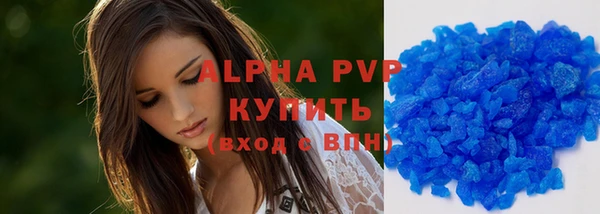 спиды Гвардейск