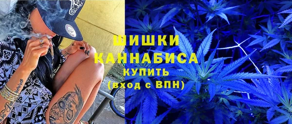 крисы Гатчина