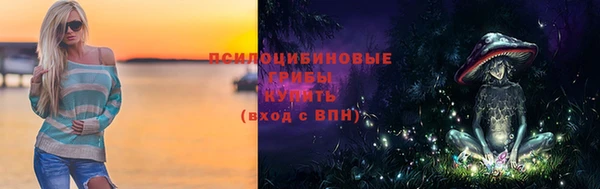 крисы Гатчина