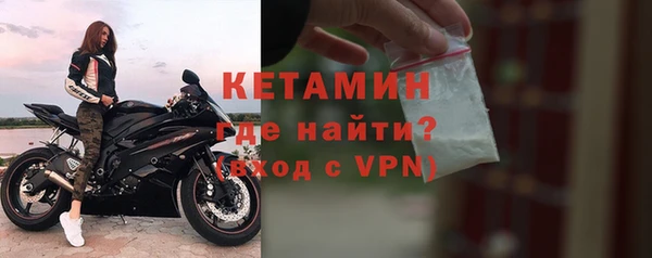 крисы Гатчина