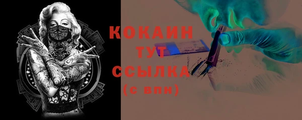 крисы Гатчина