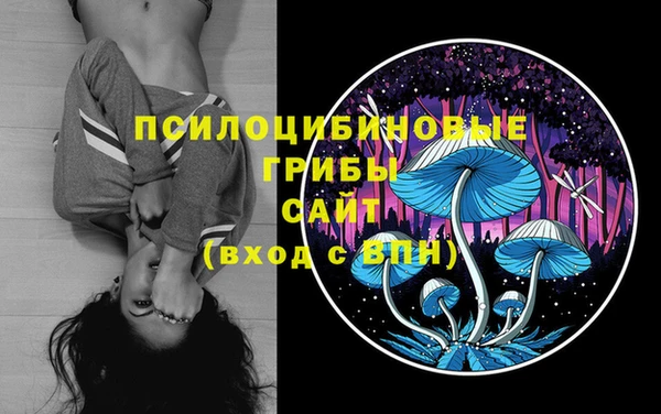 крисы Гатчина