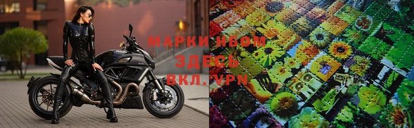 a pvp Сясьстрой