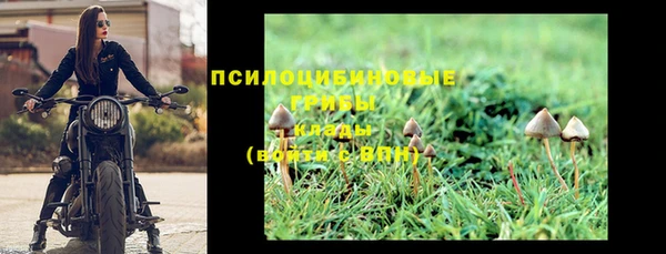 спиды Гвардейск