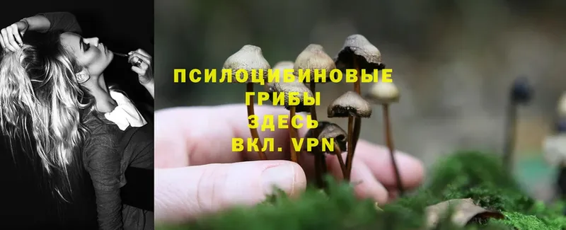 Галлюциногенные грибы Magic Shrooms  Углегорск 