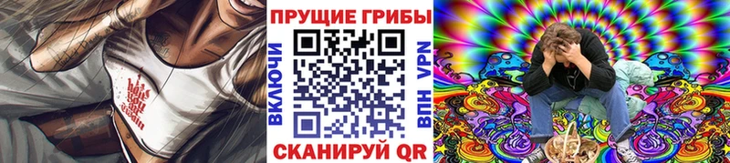 KRAKEN как войти  Углегорск  Псилоцибиновые грибы Psilocybine cubensis 
